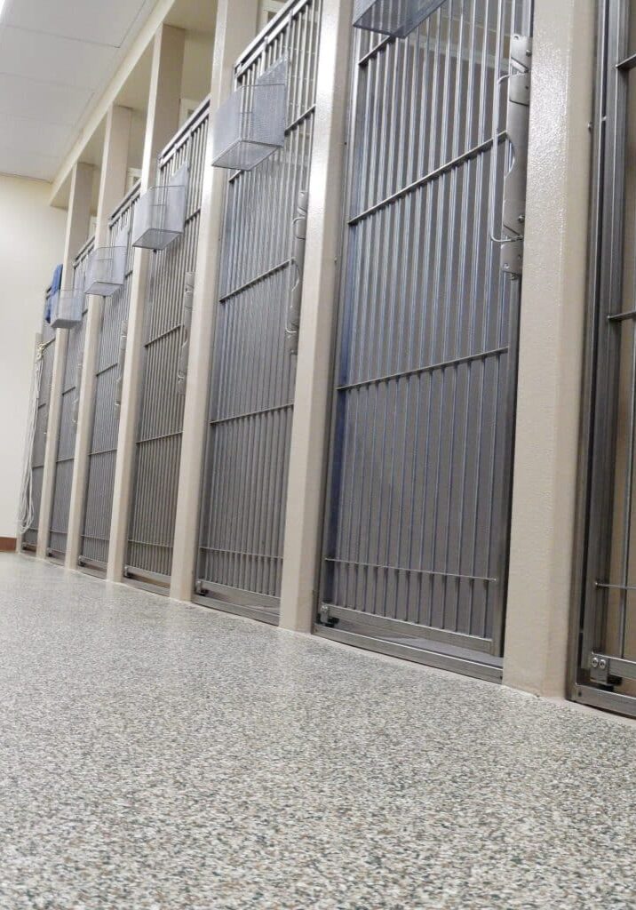 Rows of empty stainless steel animal kennels with closed doors in a clean, indoor facility, viewed from a low angle along a speckled floor finished by Rhino Linings of Auburn—contact information available for flooring solutions.