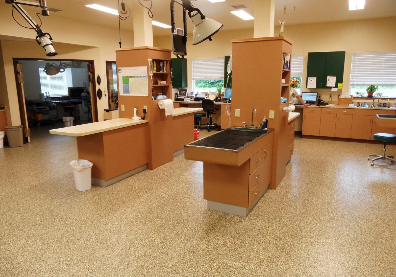 A clean veterinary clinic exam room with tan cabinets, exam tables, medical equipment, industrial floor coatings Auburn WA, and natural light from windows.